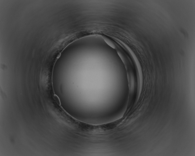 X0000090970600200708021439