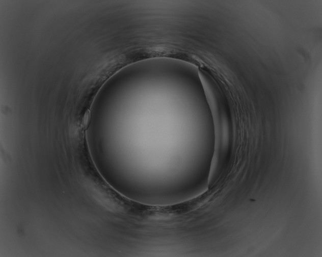 X0000090970601200708021439