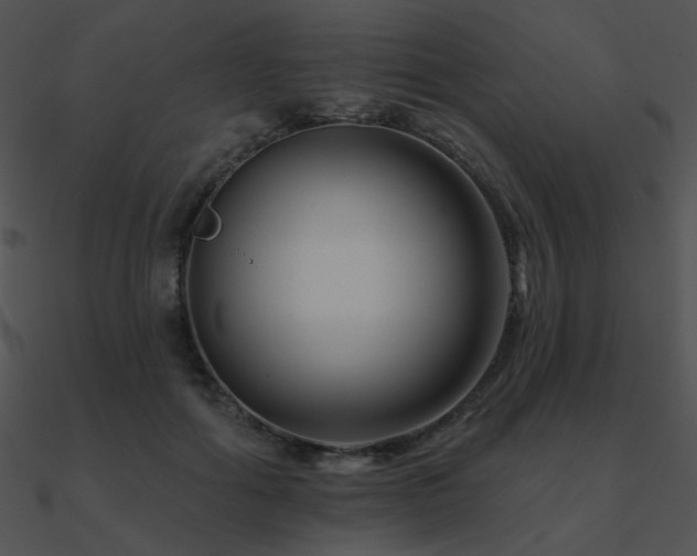 X0000090970602200708021439