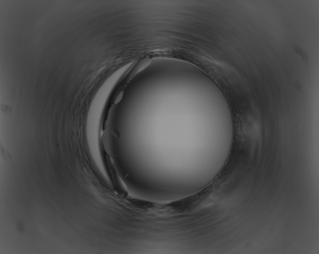 X0000090970603200708021439