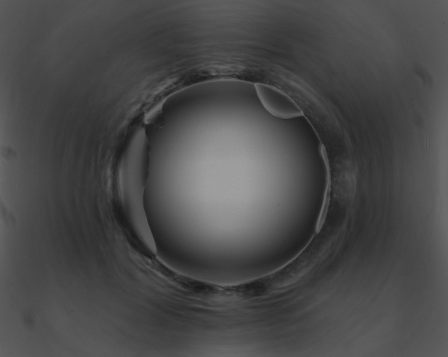 X0000090970604200708021439