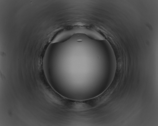 X0000090970605200708021439