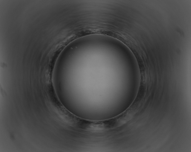 X0000090970606200708021439