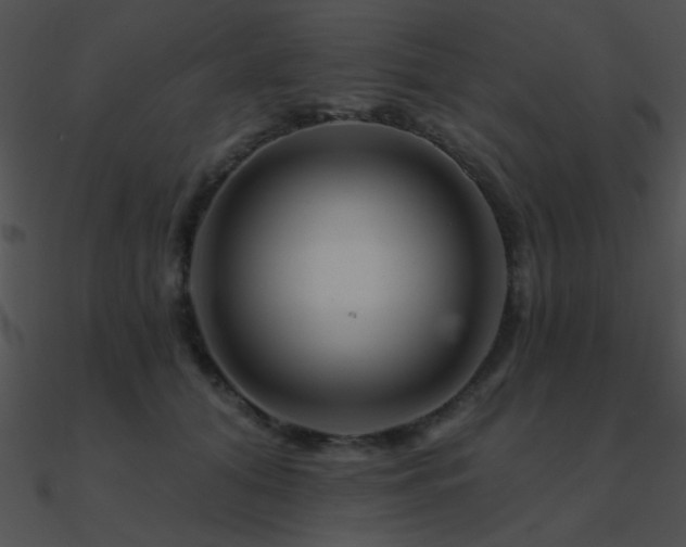 X0000090970608200708021439