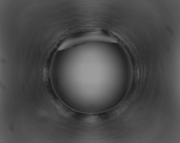 X0000090970609200708021439