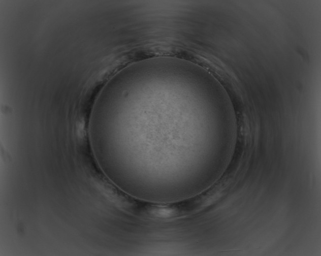 X0000090970610200708021439