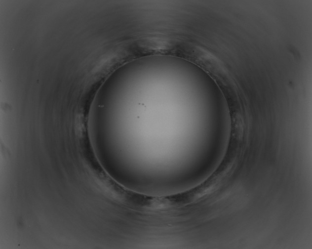 X0000090970612200708021439