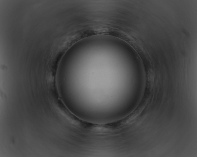 X0000090970614200708021439