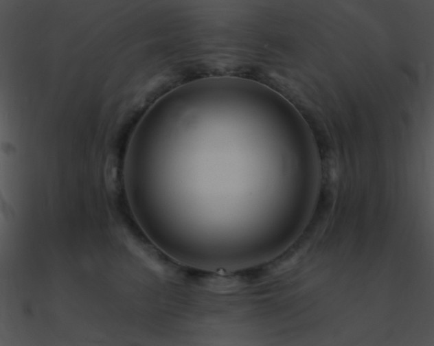 X0000090970615200708021439