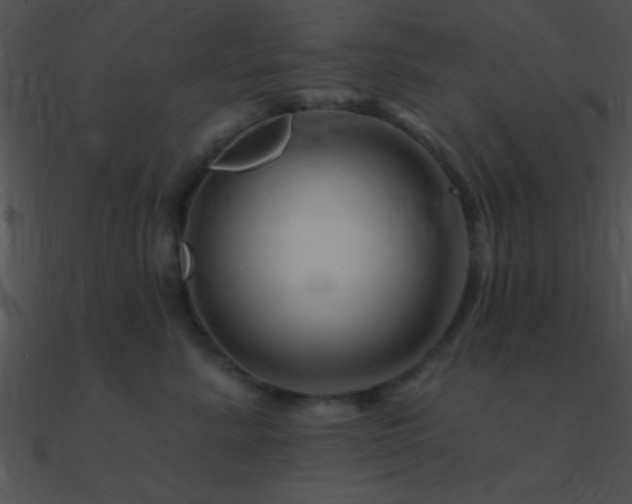 X0000090970619200708021439