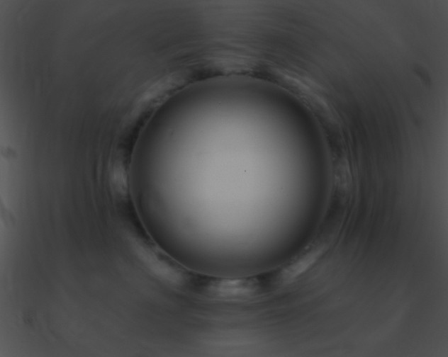 X0000090970622200708021439