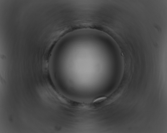 X0000090970624200708021439