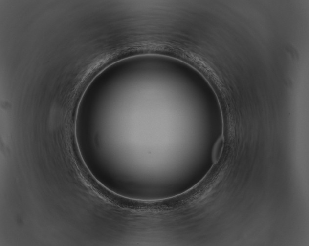 X0000090970625200708021438