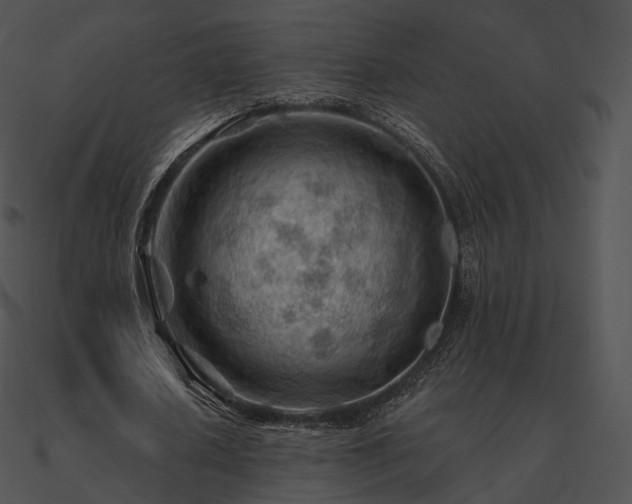 X0000090970626200708021438