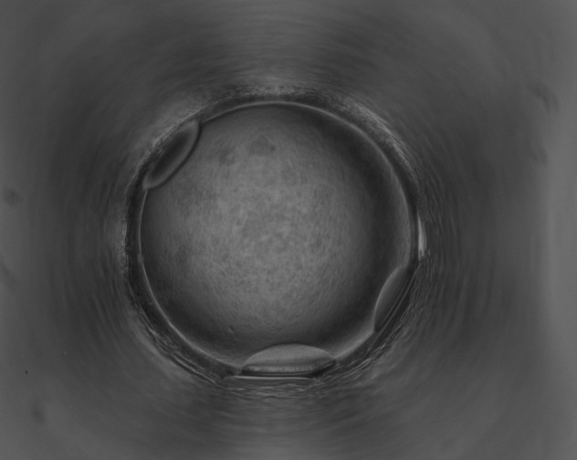 X0000090970627200708021438