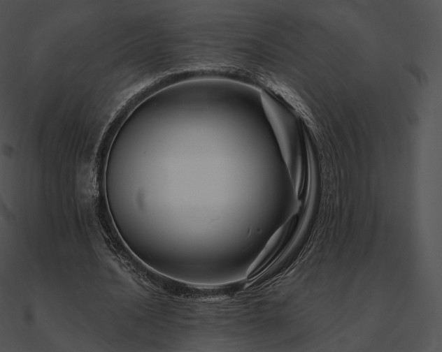 X0000090970628200708021438