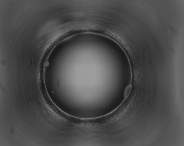 X0000090970629200708021438