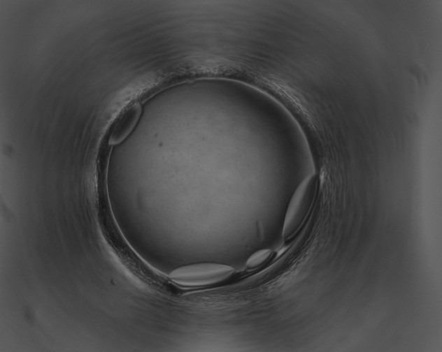 X0000090970630200708021438