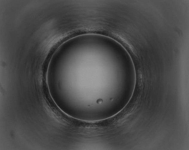 X0000090970631200708021438