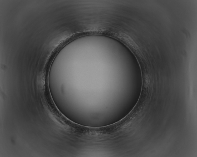 X0000090970632200708021438