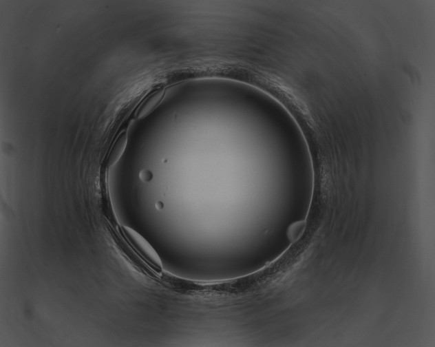 X0000090970633200708021438