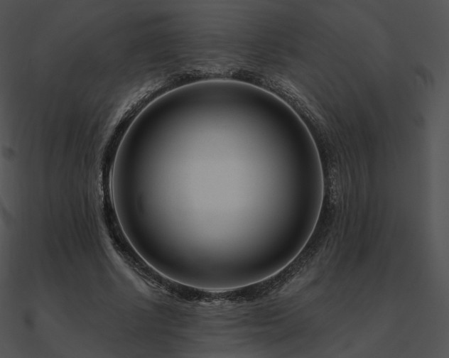 X0000090970634200708021438