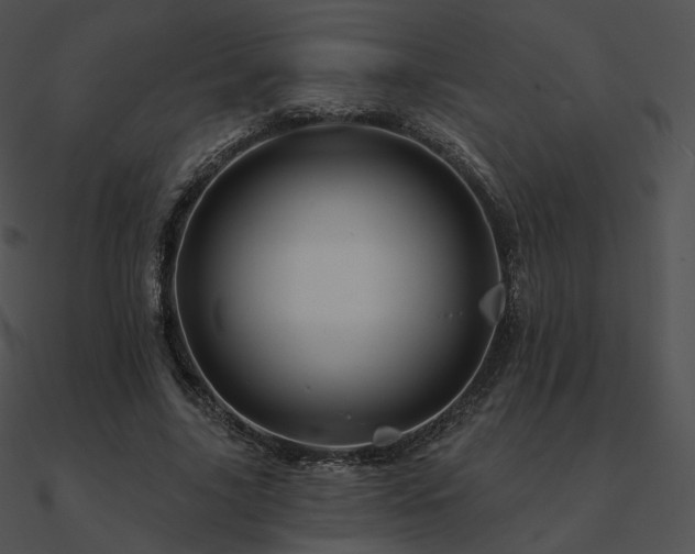 X0000090970635200708021438