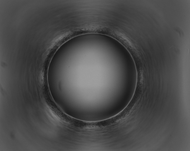 X0000090970636200708021438