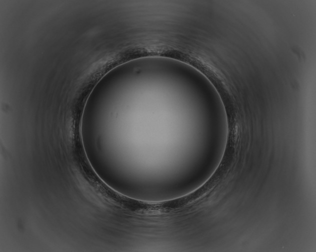 X0000090970639200708021438