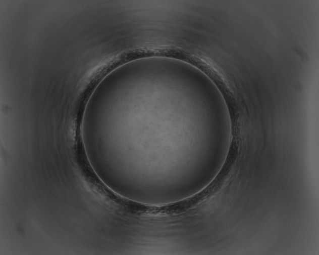 X0000090970640200708021438