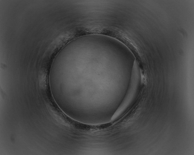 X0000090970641200708021438