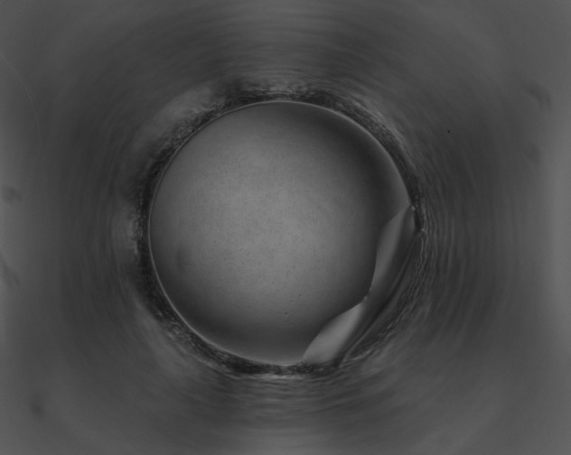 X0000090970643200708021438