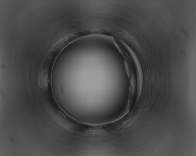 X0000090970644200708021438