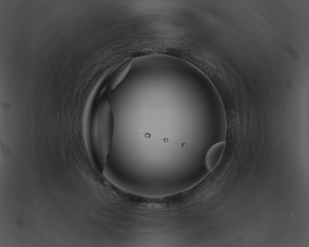 X0000090970649200708021438