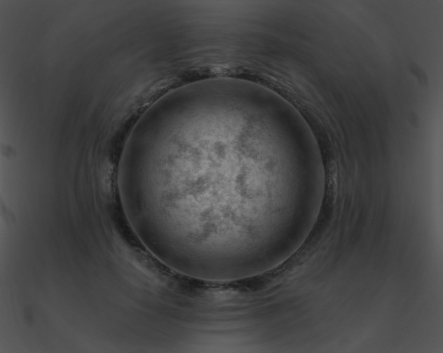 X0000090970650200708021438