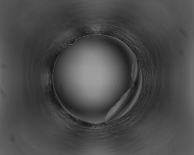 X0000090970651200708021438