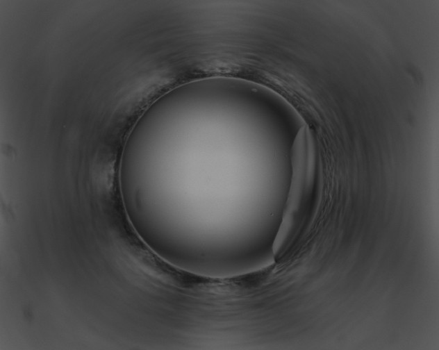 X0000090970652200708021438