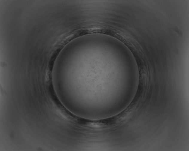 X0000090970654200708021438