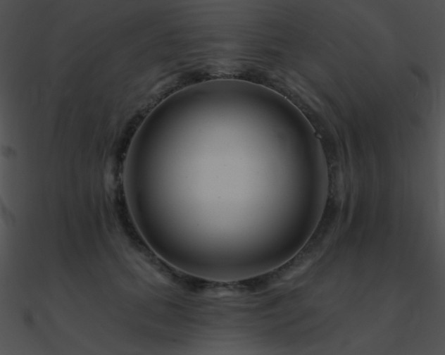 X0000090970655200708021438