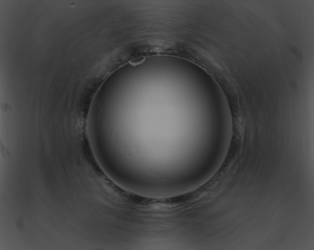 X0000090970657200708021438