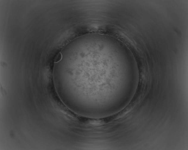 X0000090970659200708021438