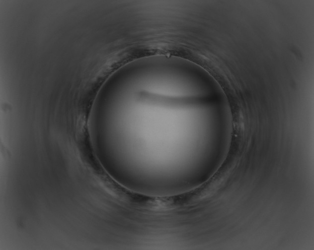 X0000090970660200708021438