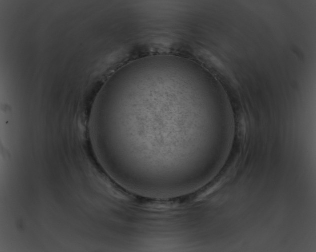 X0000090970661200708021438