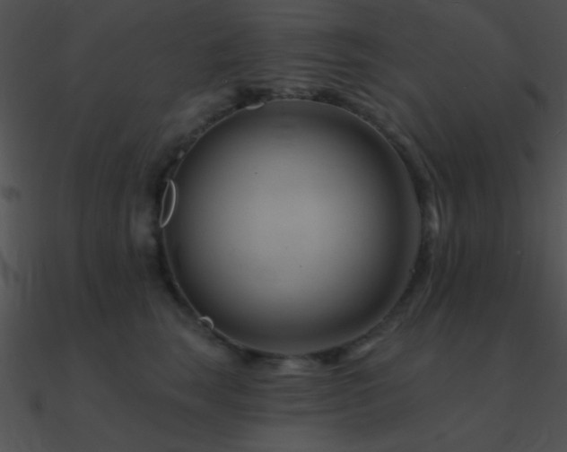 X0000090970663200708021438