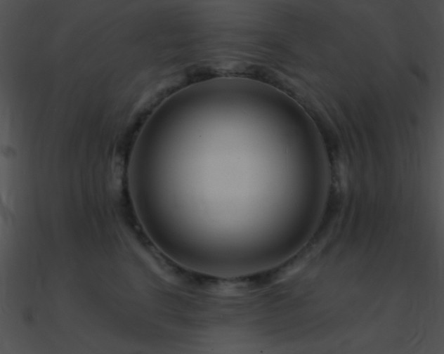 X0000090970664200708021438