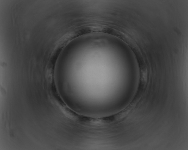 X0000090970666200708021438