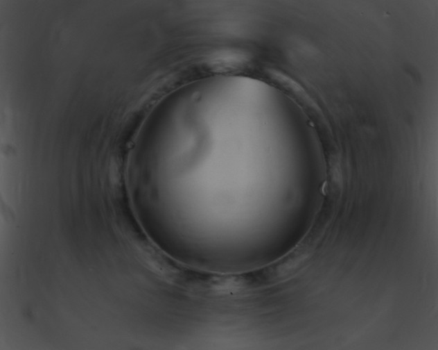 X0000090970667200708021438