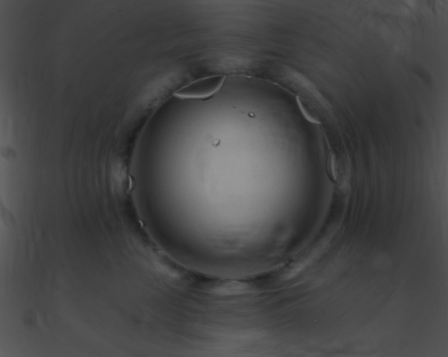 X0000090970669200708021439