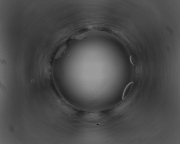 X0000090970671200708021439