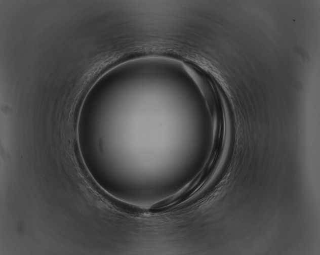 X0000090970673200708021438